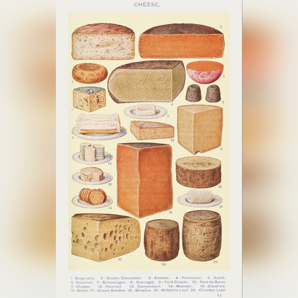 Vintage Cheese Illustration Poster